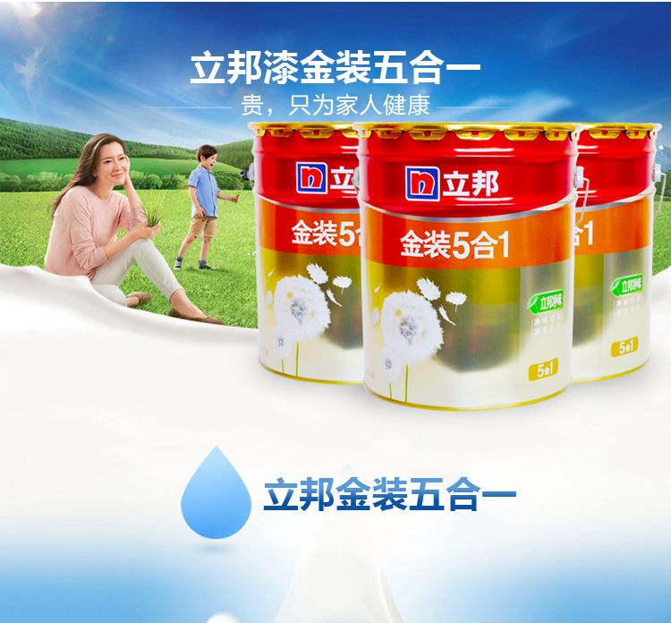 立邦金装净味五合一